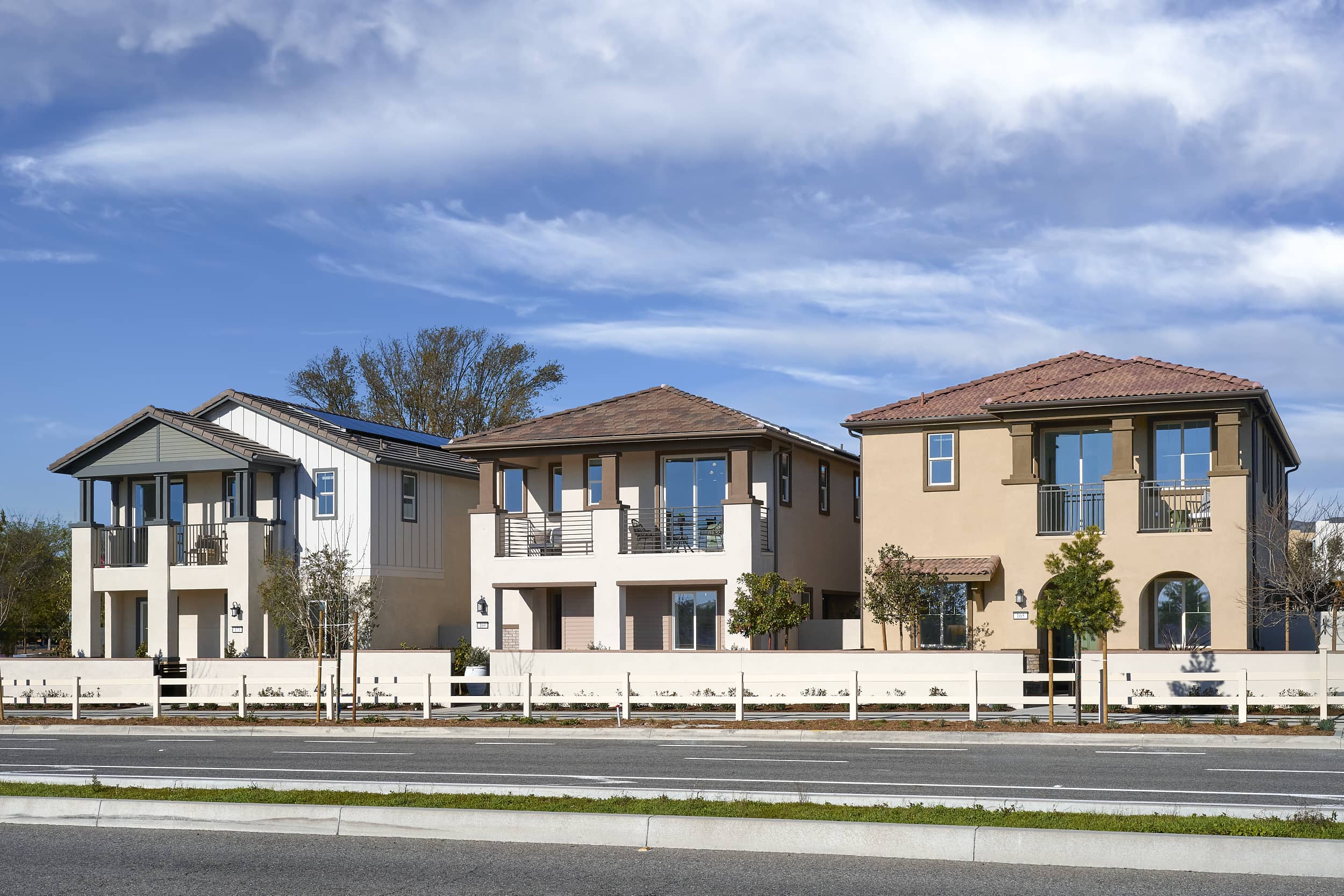 Homes For Sale In Orange 希少 XL NEIGHBORHOOD The Great Frog NHGF 